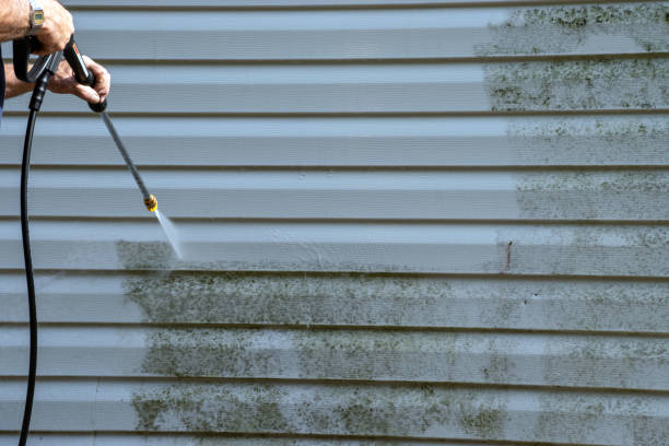 Best Storm Damage Siding Repair  in Malaga, NJ
